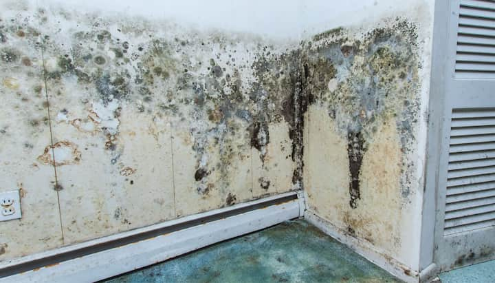 Professional mold removal, odor control, and water damage restoration service in Edmond, Oklahoma.