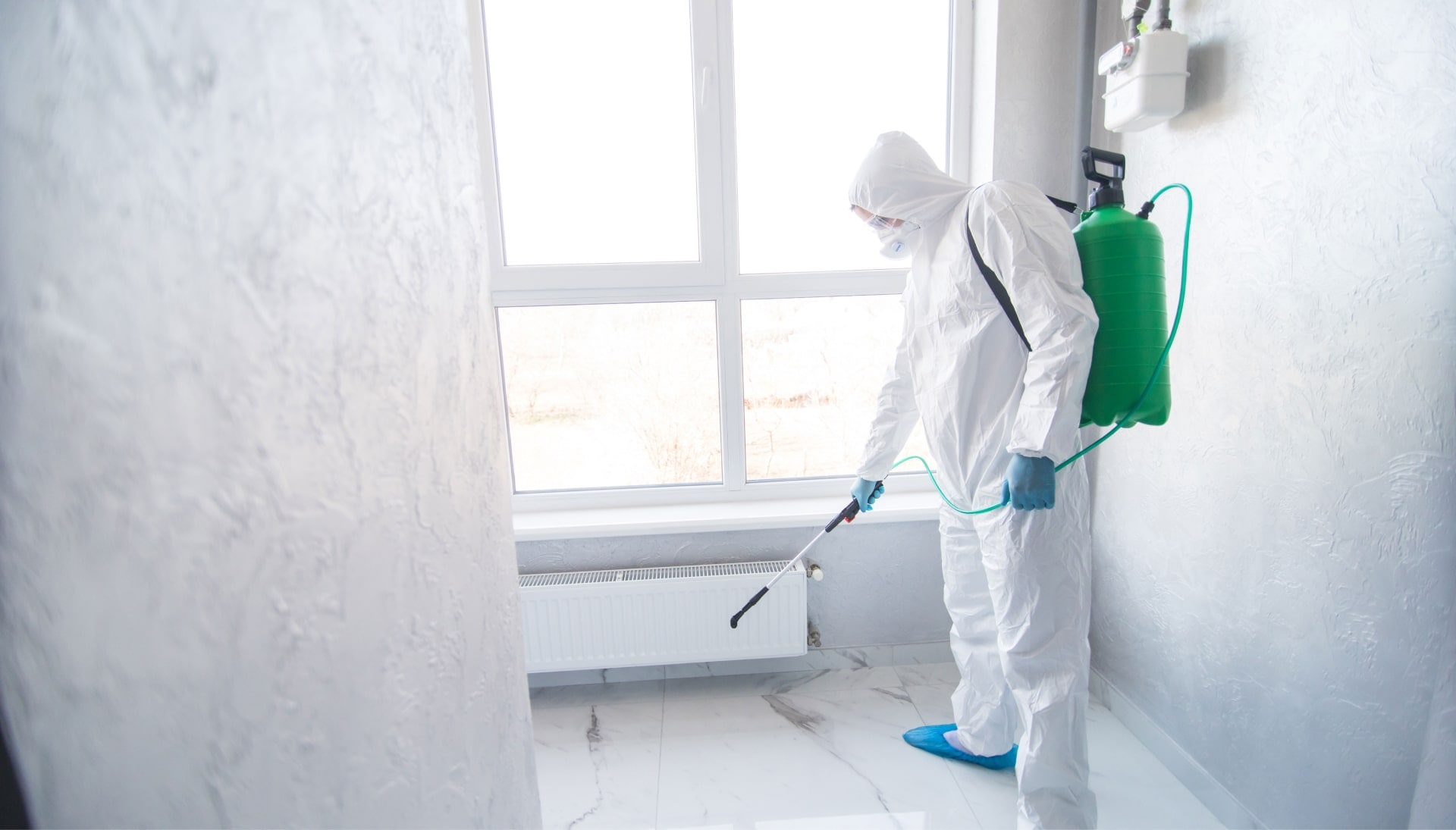 We provide the highest-quality mold inspection, testing, and removal services in the Edmond, Oklahoma area.
